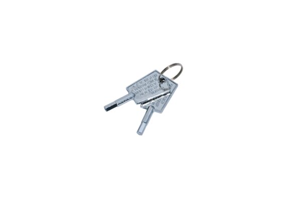 A pair of Fridge Keys attached to a metallic keychain, isolated on a white background.