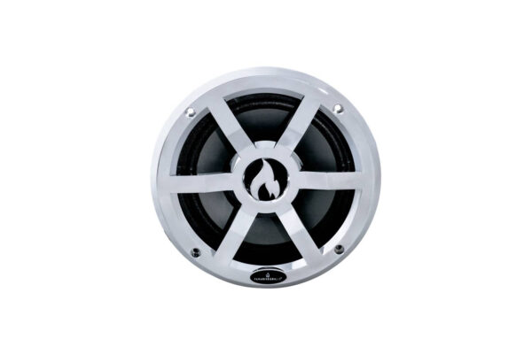A round speaker isolated on a white background, featuring a prominent central cone and a metallic grille.