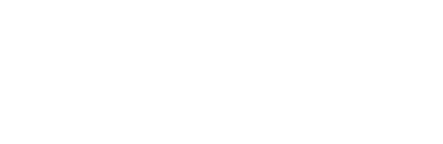 Hybrid X
