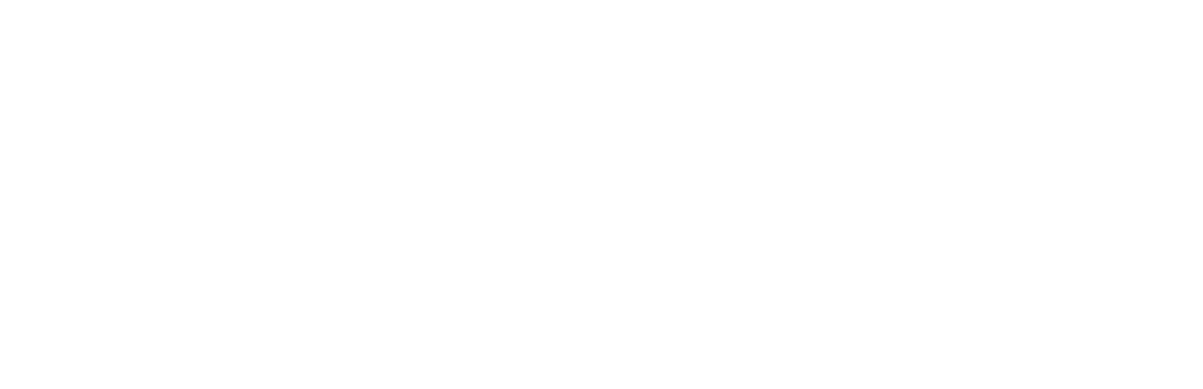 Hybrid X™ Grill the world's first 10 in 1 grill