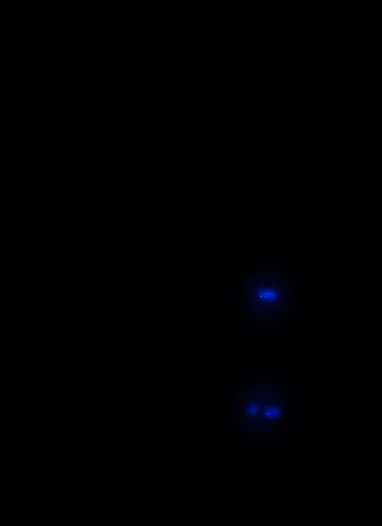 Grill Lighting