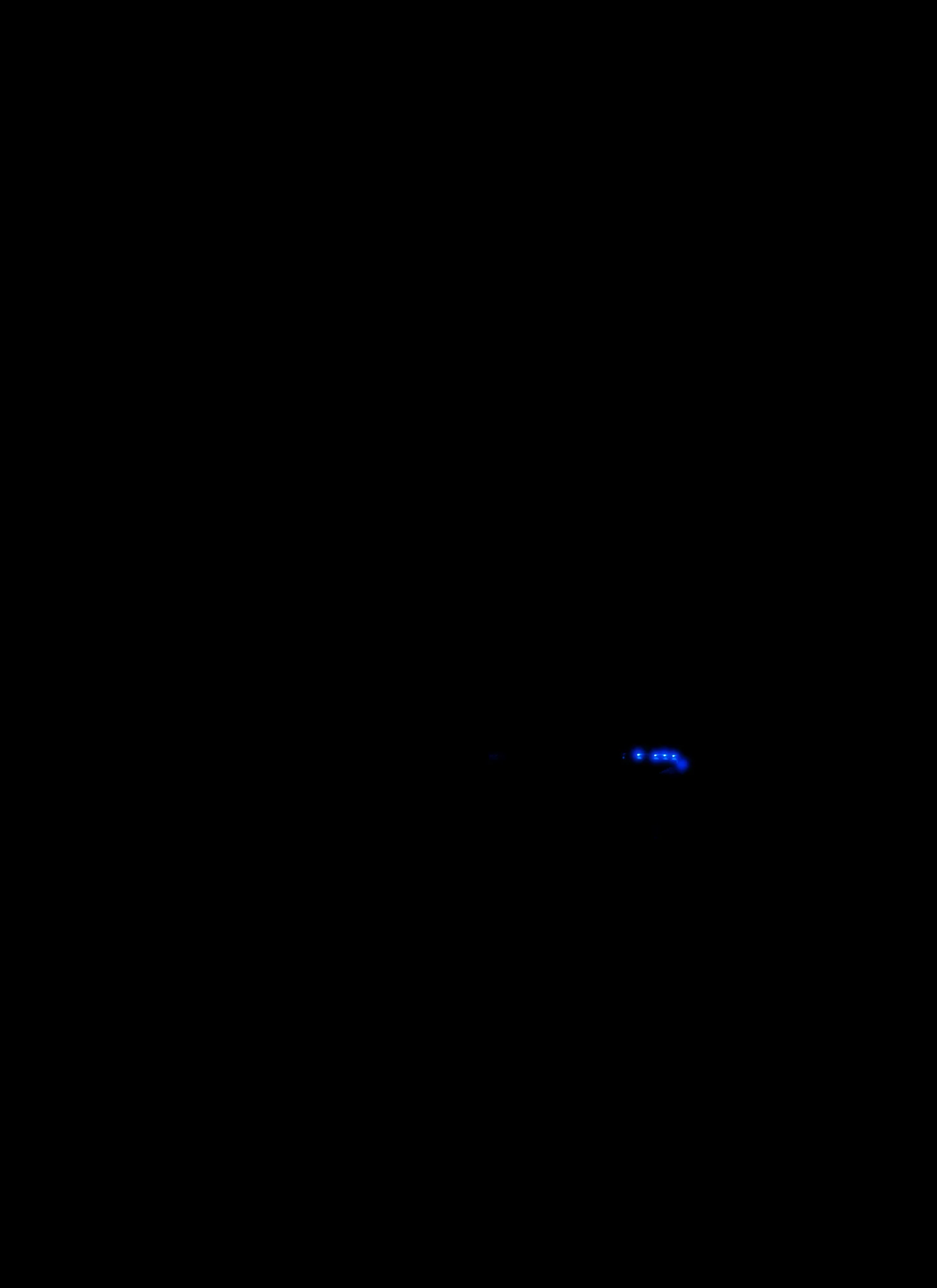 Grill Lighting