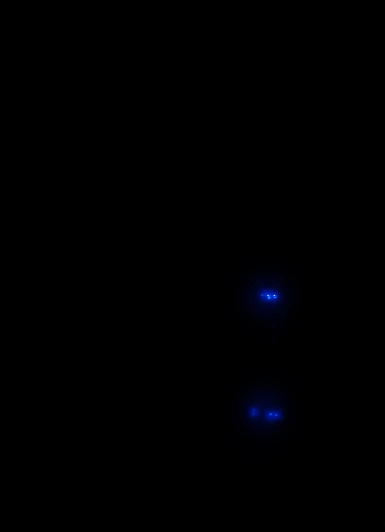 Grill Lighting